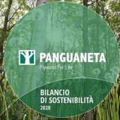 First Panguaneta's Sustainability report