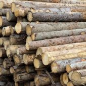 Legno: prezzi ancora in aumento