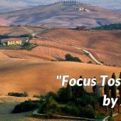 Com'è cambiata la Toscana del legno? Scoprilo nel nostro focus!